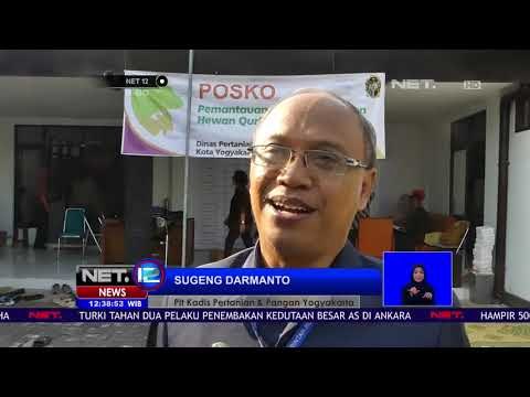 Ini Dia Yang Harus Diperhatikan Saat Menyembelih Hewan Qurban-NET12