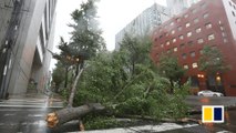 Japan struck by Typhoon Jebi