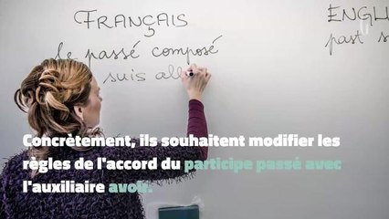 La Belgique veut modifier l'orthographe du français