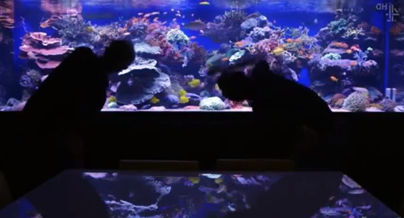 Millionaires' Mansions S01 - Ep02  2 HD Watch