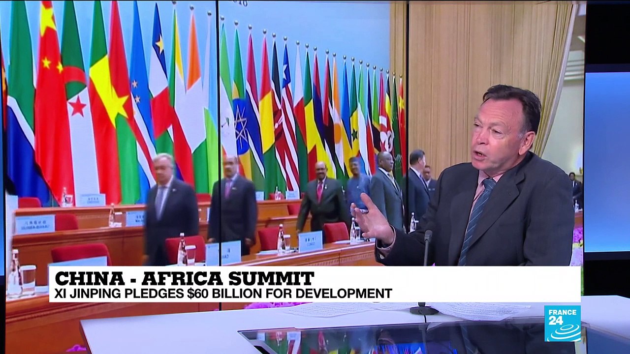 China-Africa Summit: "China needs African raw materials and energy, these are the main driving issues"