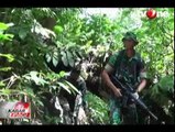 TNI Bakar 3 Hektar Ladang Ganja di Aceh