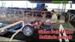 fodder cutting machine automatic scrapers in dairy farm