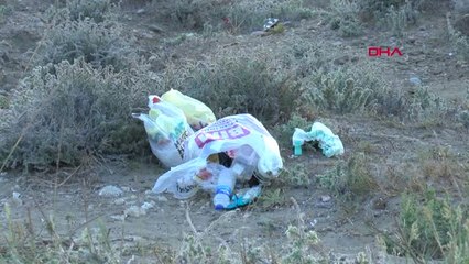 Antalya Genç Caretta, Balıkçıların Kurbanı Oldu