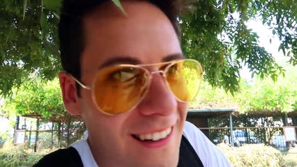 ANDIAMO ALLO ZOO! (2)