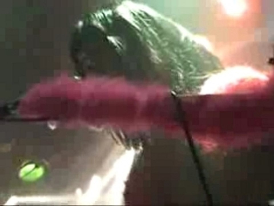 Kill You Before You Kill Me - Frankenstein Drag Queens(live)