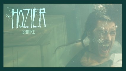 Hozier - Shrike