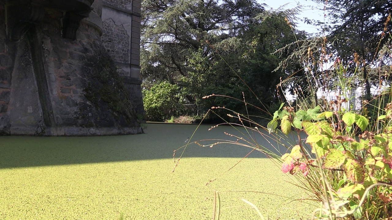 5 choses à savoir sur le château de Saint-Bonnet-les-Oules