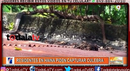 Culebra pone en zozobra moradores de Haina