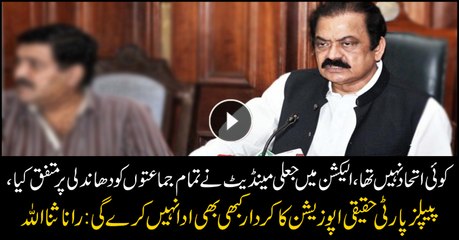 PPP will never play role of real opposition: Rana Sanaullah