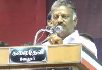டிடிவி தான் லூசு நான் இல்லை ஓபிஎஸ் தாக்கு