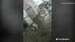 Major flooding in Galveston, Texas leaves roads underwater