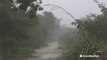 Tropical Storm Gordon brings heavy rain and strong winds to Florida's Gulf Coast