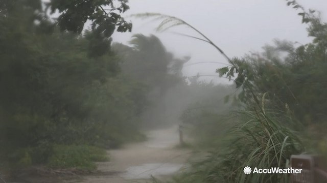 Tropical Storm Gordon brings heavy rain and strong winds to Florida's Gulf Coast