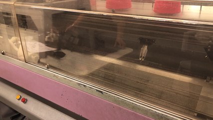 Le métier de raccoutreuse aux Tricots Saint-James