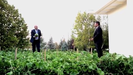 Dışişleri Bakanı Çavuşoğlu 'Gel bakalım monşer' diyerek diplomat ve gazetecilere kavun yedirdi