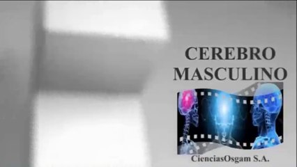 EL CEREBRO MASCULINO :  DOCUMENTAL COMPLETO
