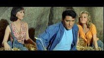 Elvis Presley - There's Gold in the Mountains