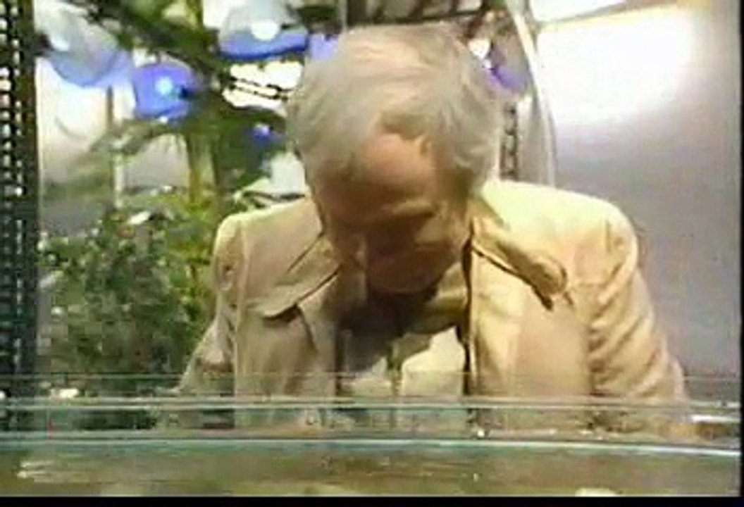 Blake's 7 - 13 - Orac