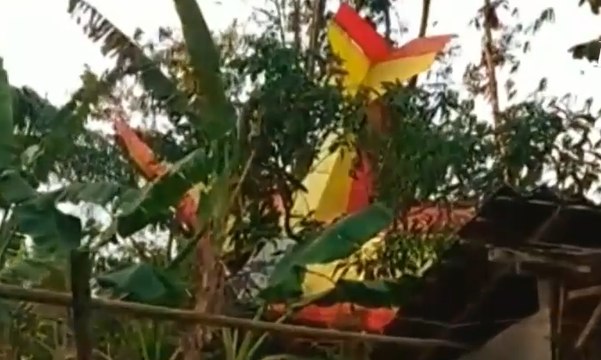Pesawat Latih Jatuh di Gunungkidul, 2 Awak Pesawat Selamat