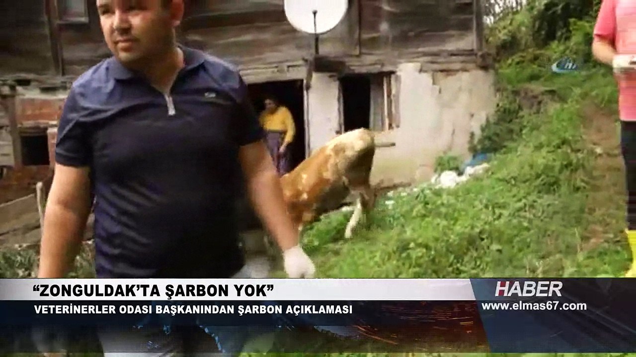 "Zonguldak'ta Şarbon yok"