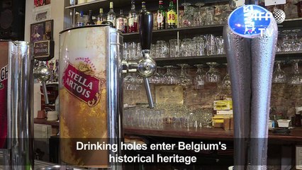 Belgium moves to save historic drinking dens