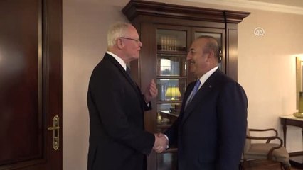 Çavuşoğlu, ABD'nin Suriye Özel Temsilcisi'ni Kabul Etti
