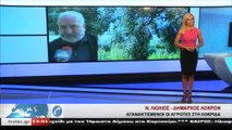 Καταστροφές από τον δάκο στη Λοκρίδα