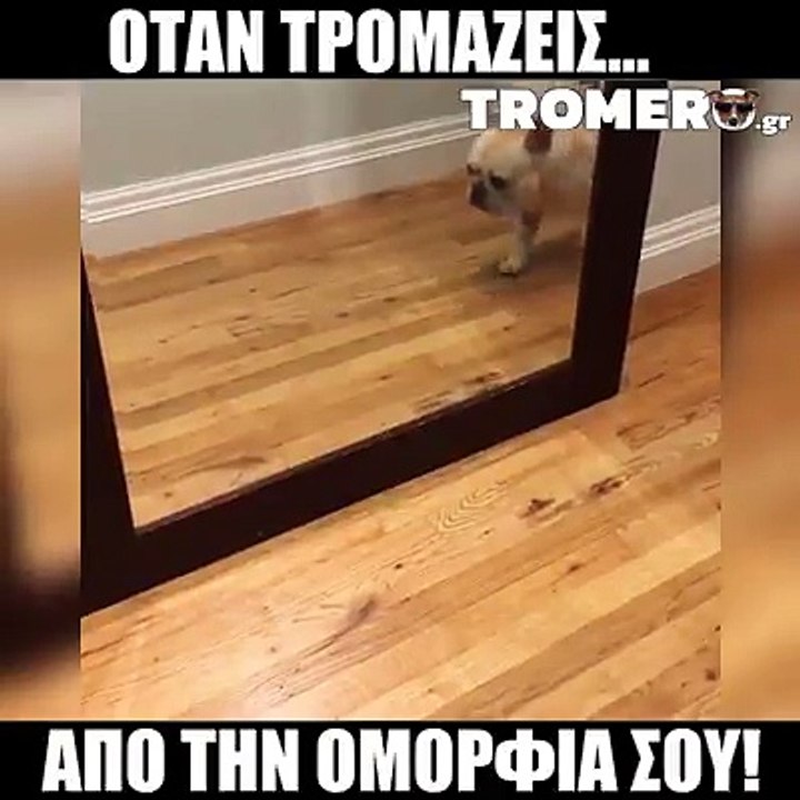 Άμα είσαι ωραιός...