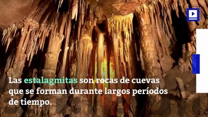 Estudio: El cambio climático mató a los neandertales