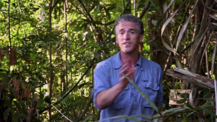 Travel Planet -  Guyana (South America)  Episode 3