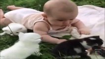 Cute Baby Playing With Kittens Most Adorable Baby Video Ever