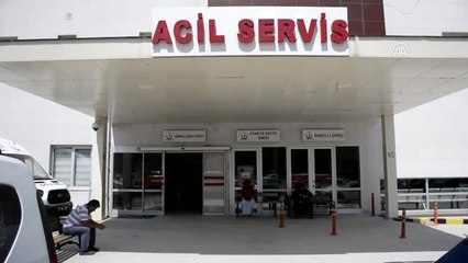 İranlı Sporcu Yamaç Paraşütüyle Tarım Arazisine Düştü