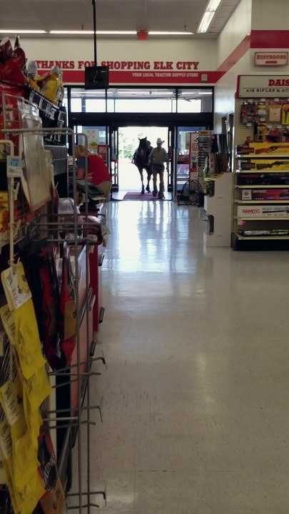 Horses Welcome
