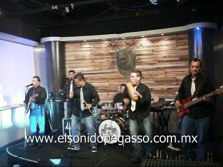 CORCEL NEGRO - UN SUEÑO