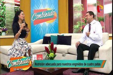 Descubre cómo alimentar de forma nutritiva a tus perros y gatos