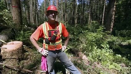 How Stuff Works S01 E02