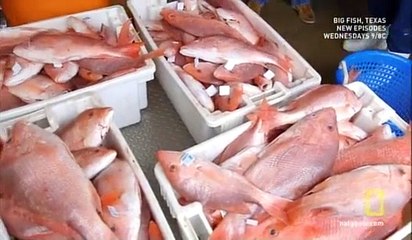 Big Fish Texas S01 E02