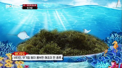 돼지보스(?) 원일 셰프의 정답 행진 [맨VS차일드 KOREA] 10회