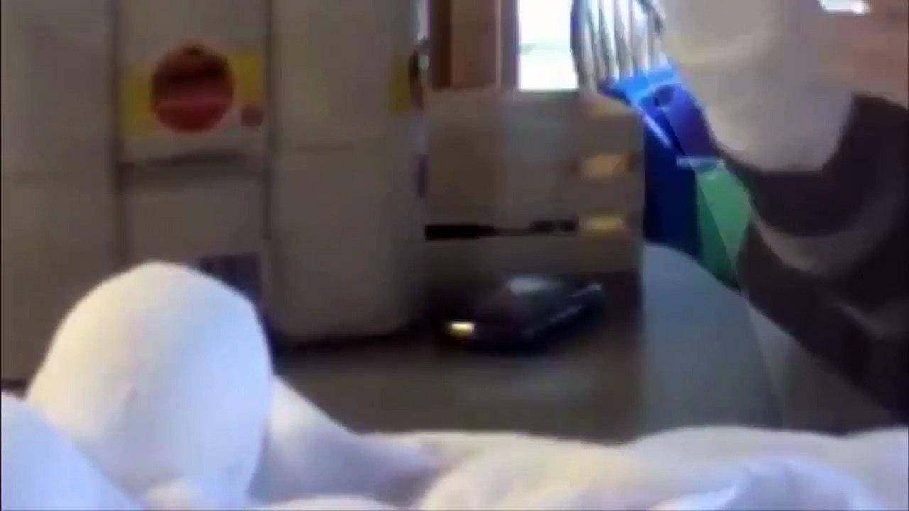 Cách làm  những con vật ngộ nghĩnh bằng mút xốp 4