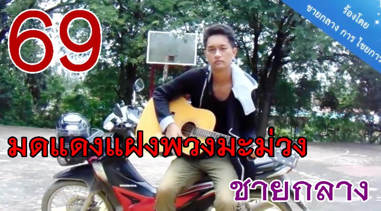 มดแดงแฝงพวงมะม่วง - ชายกลาง การ ไชยการ