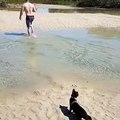 A Cat Who Ain't Afraid Of Water