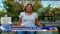 64-Year-Old Woman Mauled to Death by Dog She Was Fostering