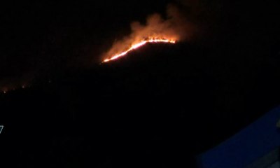 Kawasan Hutan Gunung Lawu Terbakar