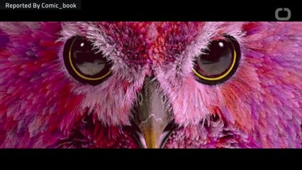 'Fantastic Beasts: The Crimes of Grindelwald' Gets The Funko Pop Treatment