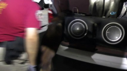 Pul biberli, salçalı, kahveli esrar sevkiyatına polis engeli