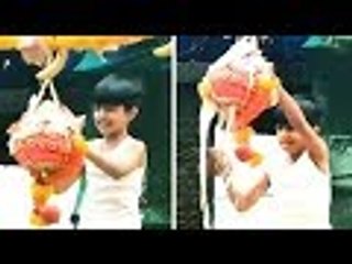 Janmashtami 2018: Shilpa Shetty's Son Viaan Breaks Dahi Handi