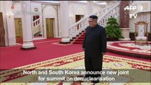 Two Koreas to hold summit on denuclearisation