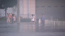 Typhoon Jebi: Death toll rises 