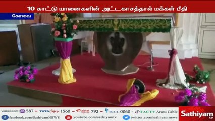 கோவையில், குடியிருப்பு பகுதிகளுக்குள் நுழைந்த 10 காட்டு யானைகளின் அட்டகாசத்தால் பொதுமக்கள் பீதி